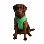 Puppia Soft Mesh Harness